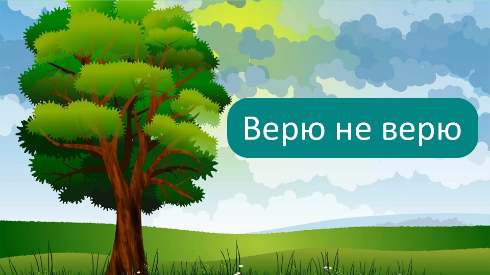 Презентация игры: "Верю не верю" - Учебники, Презентации и Подготовка к Экзаменам для Школьников на Klass-Uchebnik.com