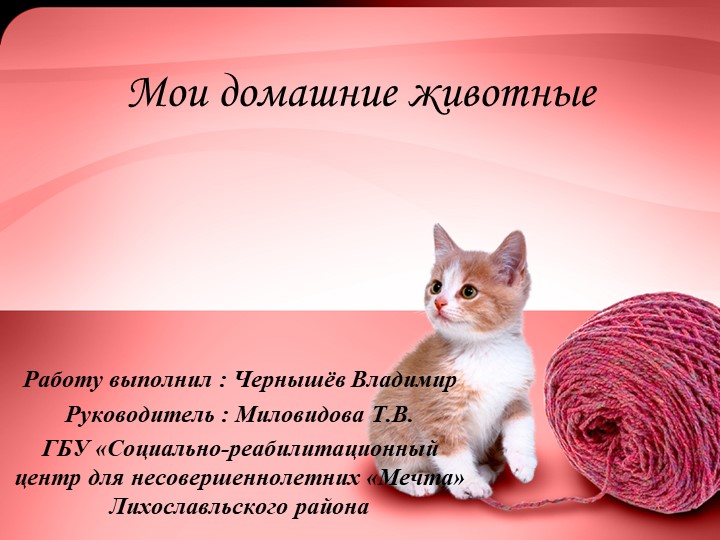 Презентация на тему "Мои домашние животные" Учебники, Презентации и Подготовка к Экзаменам для Школьников на Klass-Uchebnik.com