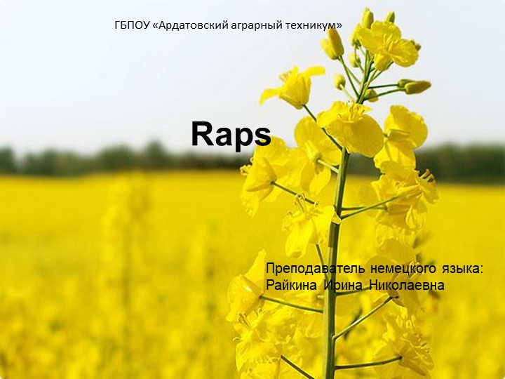 Презентация "Возделывание рапса" (СПО) - Учебники, Презентации и Подготовка к Экзаменам для Школьников на Klass-Uchebnik.com