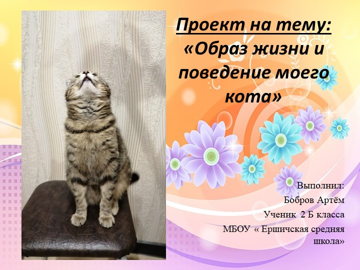 Презентация "Образ жизни и поведение моего кота" 2Б класс - Учебники, Презентации и Подготовка к Экзаменам для Школьников на Klass-Uchebnik.com