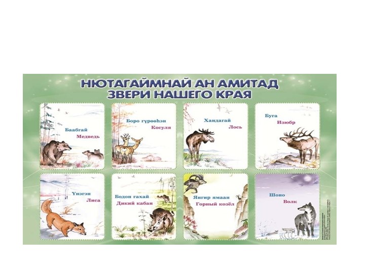 Презентация по бурятской литературе "Звери" - Учебники, Презентации и Подготовка к Экзаменам для Школьников на Klass-Uchebnik.com