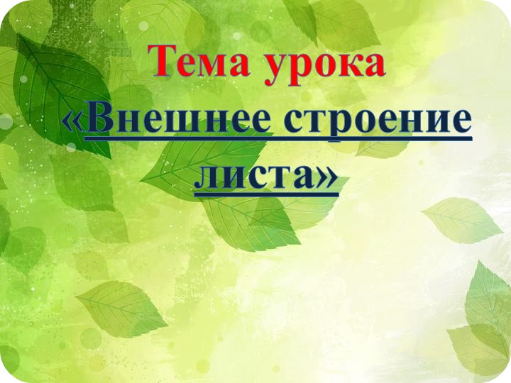 Презентация "Внешнее строение листа" Учебники, Презентации и Подготовка к Экзаменам для Школьников на Klass-Uchebnik.com