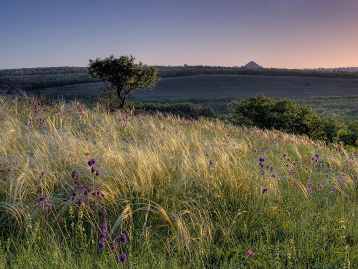 Презентация к занятию Донбасс наш край родной - Учебники, Презентации и Подготовка к Экзаменам для Школьников на Klass-Uchebnik.com
