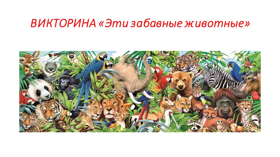 Урок. Интеллектуальная игра "В мире животных" - Учебники, Презентации и Подготовка к Экзаменам для Школьников на Klass-Uchebnik.com