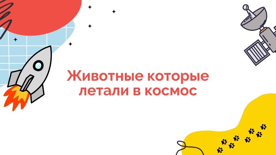Презентация "Животные в космосе" - Учебники, Презентации и Подготовка к Экзаменам для Школьников на Klass-Uchebnik.com