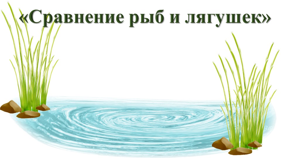 Презентация занятия по экологическому воспитанию в подготовительной группе – «Сравнение лягушек и рыб» - Учебники, Презентации и Подготовка к Экзаменам для Школьников на Klass-Uchebnik.com