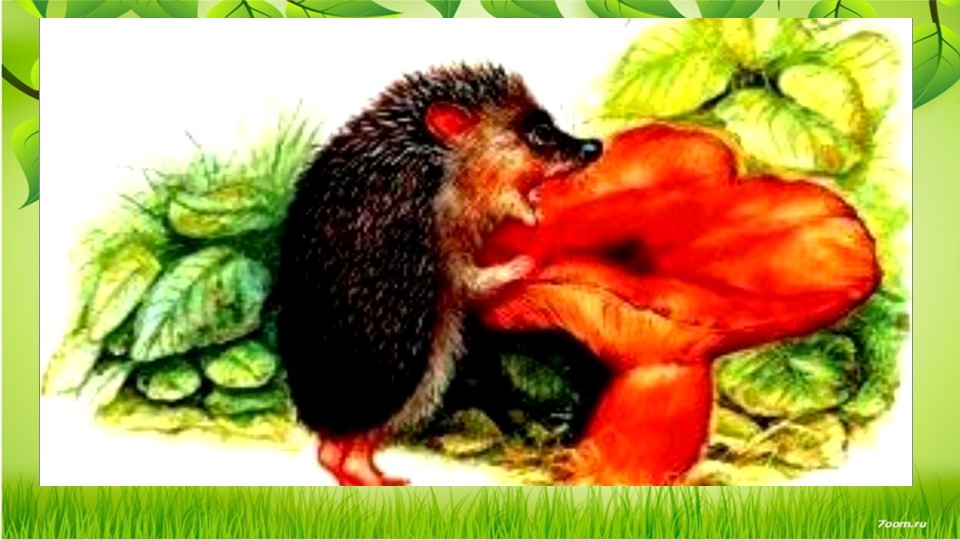 Презентация к уроку "Цепи питания" (окружающий мир) Учебники, Презентации и Подготовка к Экзаменам для Школьников на Klass-Uchebnik.com