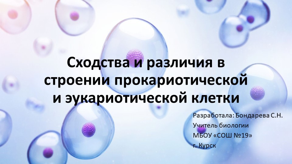 Презентация: "Сходства и различия клеток прокариот и эукариот - Учебники, Презентации и Подготовка к Экзаменам для Школьников на Klass-Uchebnik.com