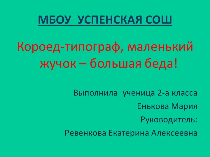 Конкурсная работа "Короед-типограф, маленький жучок – большая беда! " Учебники, Презентации и Подготовка к Экзаменам для Школьников на Klass-Uchebnik.com