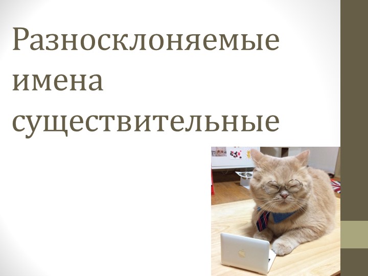 Презентация с заданиями к уроку "Разносклоняемые имена существительные" - Учебники, Презентации и Подготовка к Экзаменам для Школьников на Klass-Uchebnik.com
