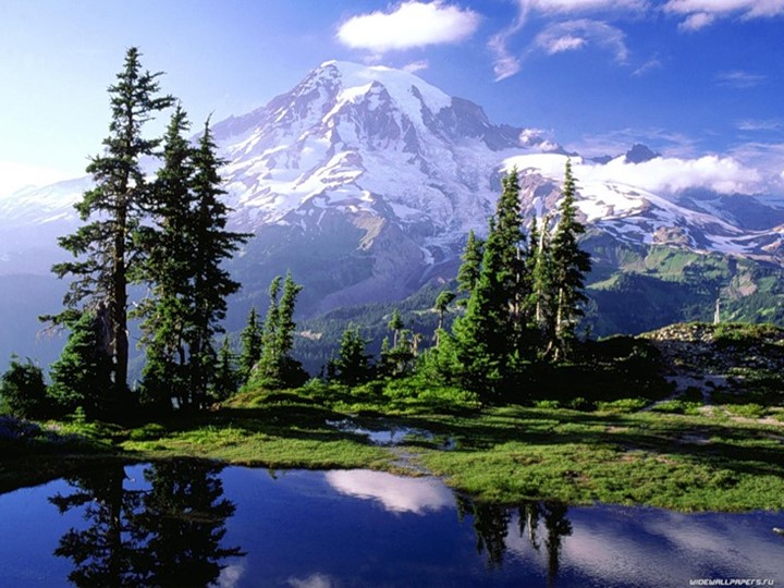 Презентация по географии на тему "Вода на Земле."(5 класс) - Учебники, Презентации и Подготовка к Экзаменам для Школьников на Klass-Uchebnik.com