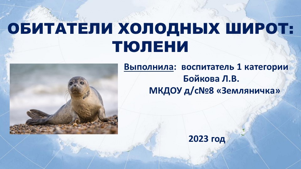 Презентация по познавательному развитию на тему "Обитатели холодных широт - Тюлени" - Учебники, Презентации и Подготовка к Экзаменам для Школьников на Klass-Uchebnik.com