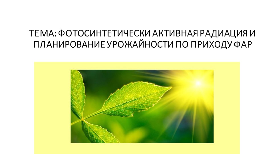 Презентация "Фотосинтетически активная радиация" - Учебники, Презентации и Подготовка к Экзаменам для Школьников на Klass-Uchebnik.com