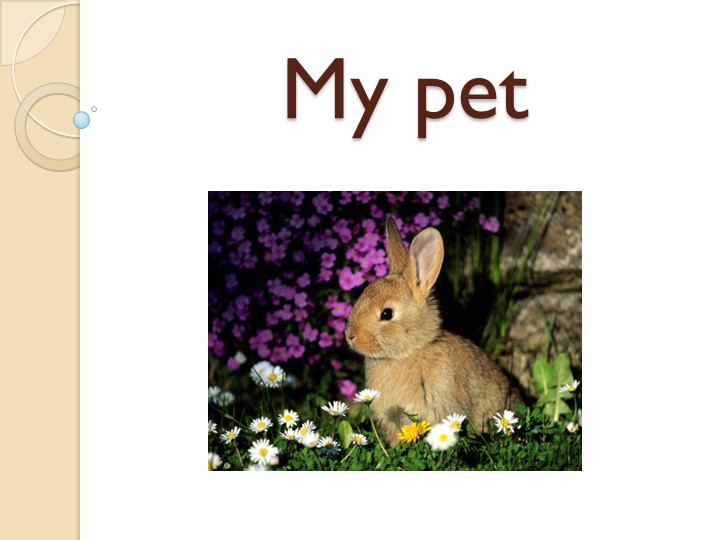 Презентация к конспекту "Мой питомец" - Учебники, Презентации и Подготовка к Экзаменам для Школьников на Klass-Uchebnik.com