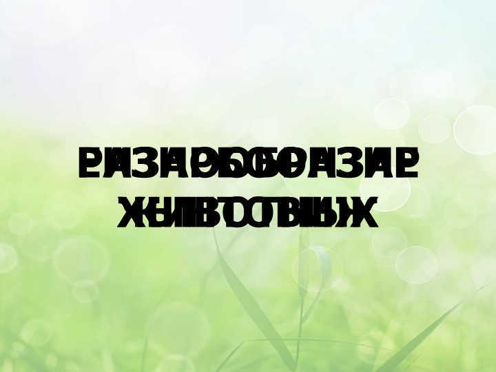 Презентация к уроку окружающего мира в 3 классе на тему «Разнообразие животных» - Учебники, Презентации и Подготовка к Экзаменам для Школьников на Klass-Uchebnik.com