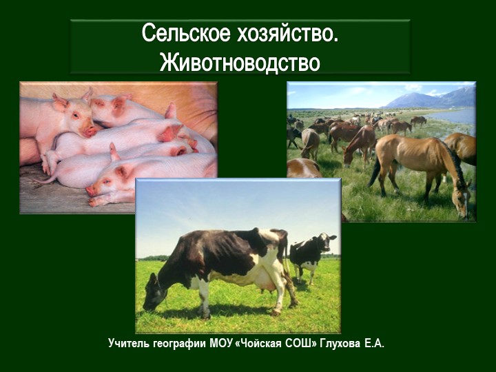 Презентация на тему: "Животноводство" - Учебники, Презентации и Подготовка к Экзаменам для Школьников на Klass-Uchebnik.com