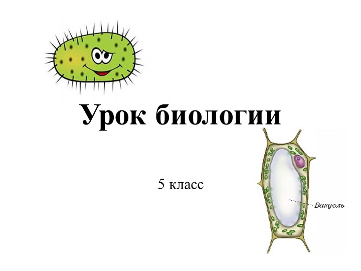 Презентация по биологии "Бактерии" 5 класс - Учебники, Презентации и Подготовка к Экзаменам для Школьников на Klass-Uchebnik.com