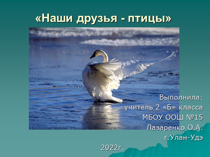 Презентация к уроку ИЗО 2 класс "Изображение и реальность. Наши друзья птицы". - Учебники, Презентации и Подготовка к Экзаменам для Школьников на Klass-Uchebnik.com
