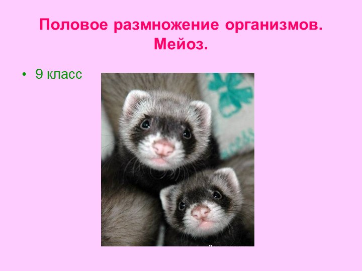 Урок биологии в 9 классе на тему: "Половое размножение. Мейоз." - Учебники, Презентации и Подготовка к Экзаменам для Школьников на Klass-Uchebnik.com