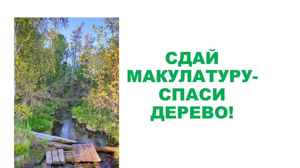 Презентация " Сдай макулатуру- спаси дерево" Учебники, Презентации и Подготовка к Экзаменам для Школьников на Klass-Uchebnik.com