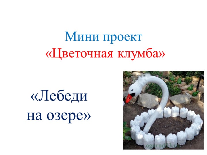 Проект с родителями "Цветочная клумба" - Учебники, Презентации и Подготовка к Экзаменам для Школьников на Klass-Uchebnik.com