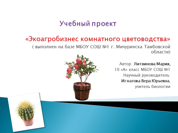 Учебный проект по биологии "Экоагробизнес комнатного цветоводства" Учебники, Презентации и Подготовка к Экзаменам для Школьников на Klass-Uchebnik.com