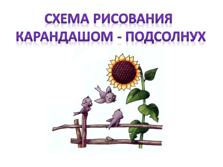 Презентация для начальной школы "Подсолнухи" - Учебники, Презентации и Подготовка к Экзаменам для Школьников на Klass-Uchebnik.com
