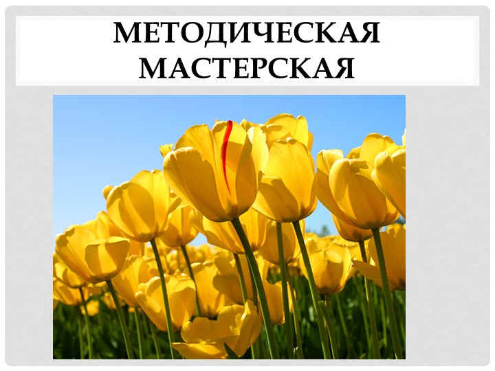 Презентация опыта работы по теме Мнемоника Учебники, Презентации и Подготовка к Экзаменам для Школьников на Klass-Uchebnik.com