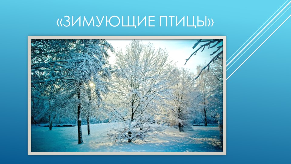 Презентация по окружающему миру "Зимующие птицы" средняя группа ДОУ - Учебники, Презентации и Подготовка к Экзаменам для Школьников на Klass-Uchebnik.com