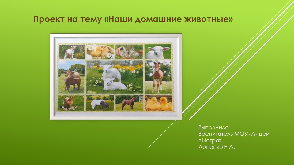 Презентация по теме "Наши домашние животные" - Учебники, Презентации и Подготовка к Экзаменам для Школьников на Klass-Uchebnik.com