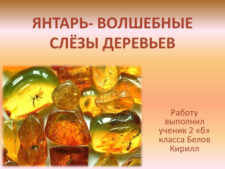 Презентация "Янтарь-волшебнве слёзы деревьев" - Учебники, Презентации и Подготовка к Экзаменам для Школьников на Klass-Uchebnik.com