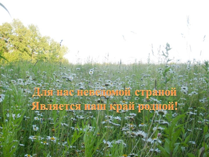 Презентация "Природа родного края" - Учебники, Презентации и Подготовка к Экзаменам для Школьников на Klass-Uchebnik.com