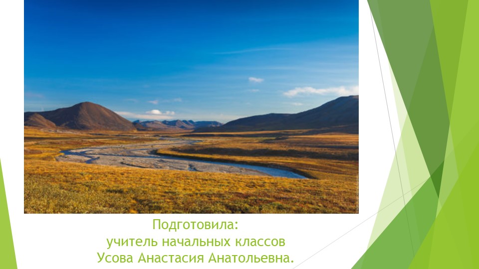 Презентация Растительный и животный мир тундры. - Учебники, Презентации и Подготовка к Экзаменам для Школьников на Klass-Uchebnik.com