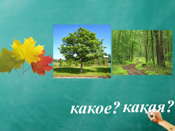 Презентация к уроку "Имя прилагательное" Учебники, Презентации и Подготовка к Экзаменам для Школьников на Klass-Uchebnik.com