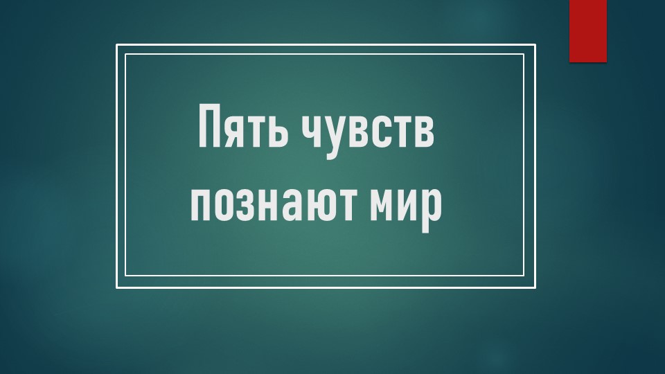 Презентация "Пять чувств познают мир " про органы чувств(дополнение к плану-конспекту) - Учебники, Презентации и Подготовка к Экзаменам для Школьников на Klass-Uchebnik.com