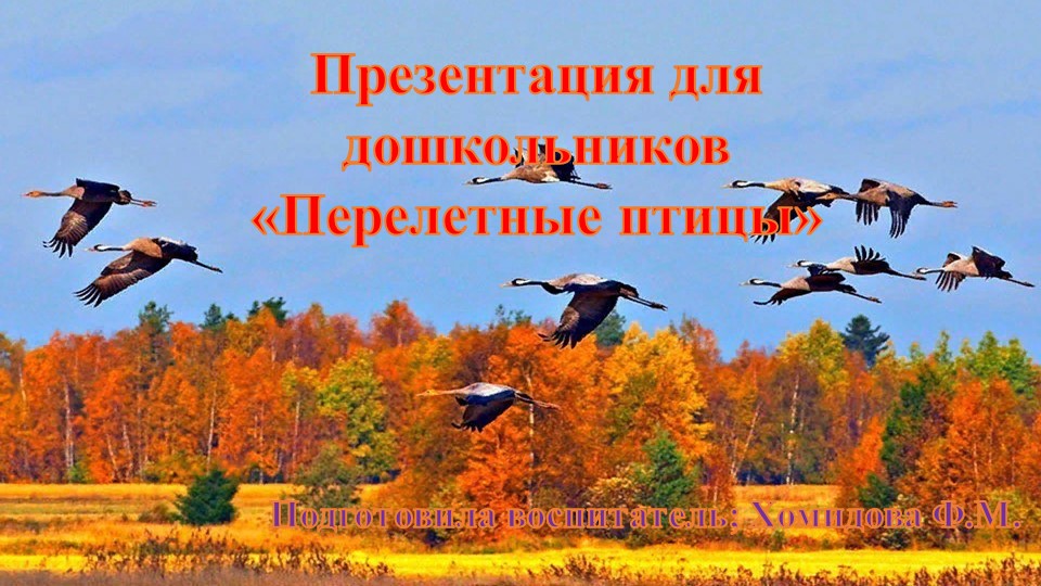 Презентация для дошкольников «Перелетные птицы» - Учебники, Презентации и Подготовка к Экзаменам для Школьников на Klass-Uchebnik.com