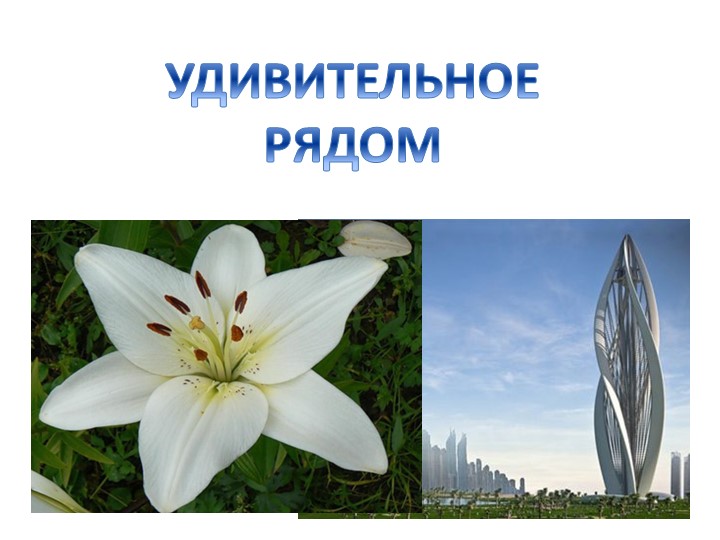 Внеклассное мероприятие "Удивительное рядом" - Учебники, Презентации и Подготовка к Экзаменам для Школьников на Klass-Uchebnik.com
