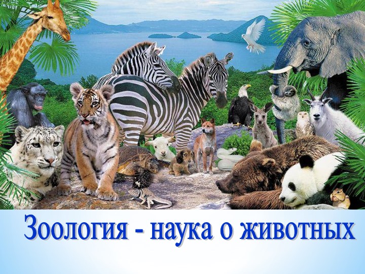 Зоология -наука о животных. - Учебники, Презентации и Подготовка к Экзаменам для Школьников на Klass-Uchebnik.com