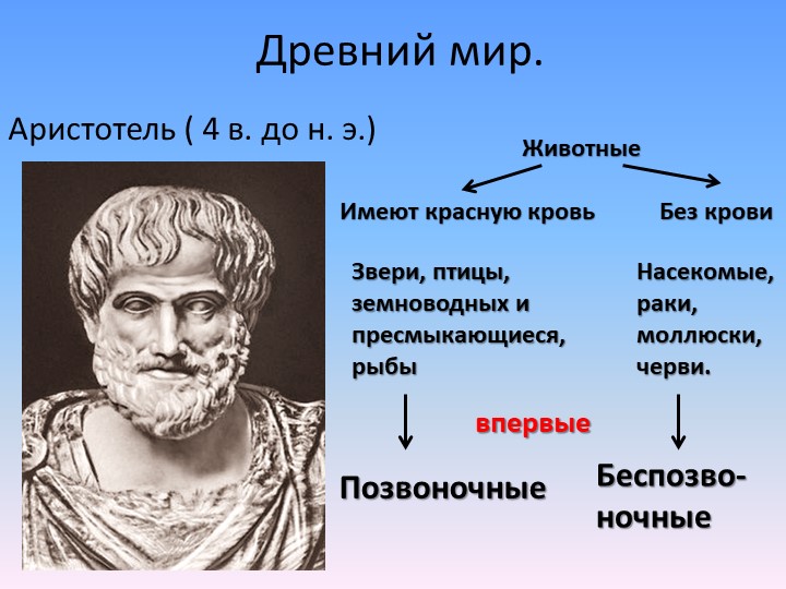 Классификация и история зоологии - Учебники, Презентации и Подготовка к Экзаменам для Школьников на Klass-Uchebnik.com