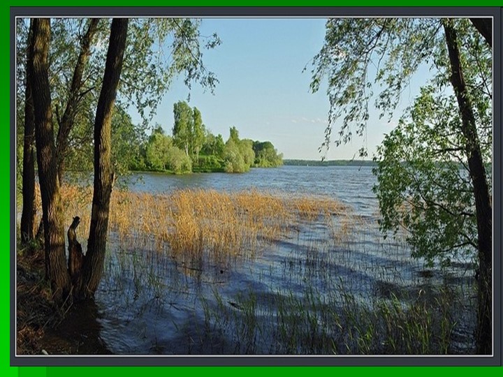 Презентация М.М. Пришвин "Выскочка" - Учебники, Презентации и Подготовка к Экзаменам для Школьников на Klass-Uchebnik.com