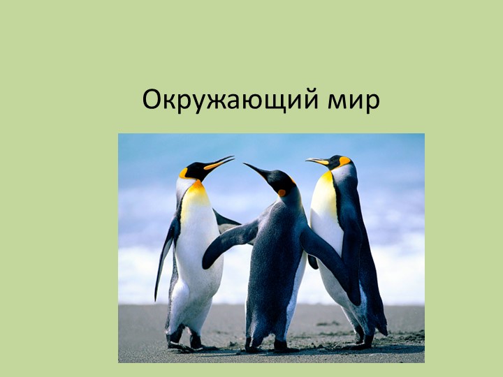 Презентация к уроку окружающий мир 3 класс "Органы чувств" Учебники, Презентации и Подготовка к Экзаменам для Школьников на Klass-Uchebnik.com