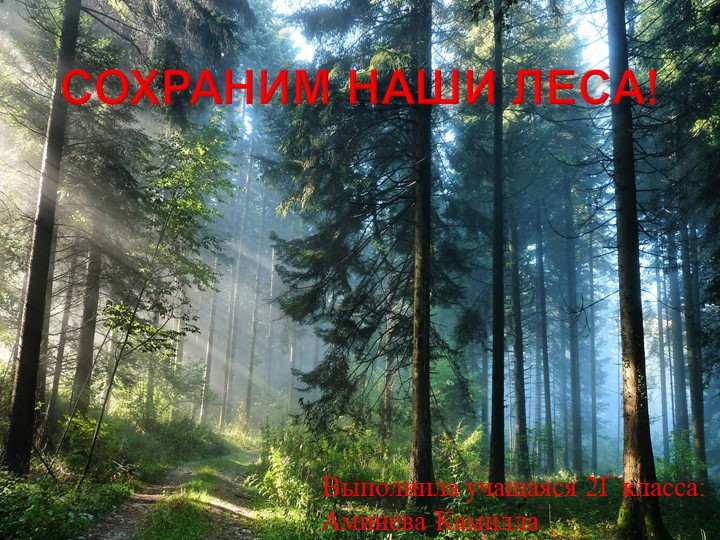 Презентация на тему "Сохраним наши леса" - Учебники, Презентации и Подготовка к Экзаменам для Школьников на Klass-Uchebnik.com