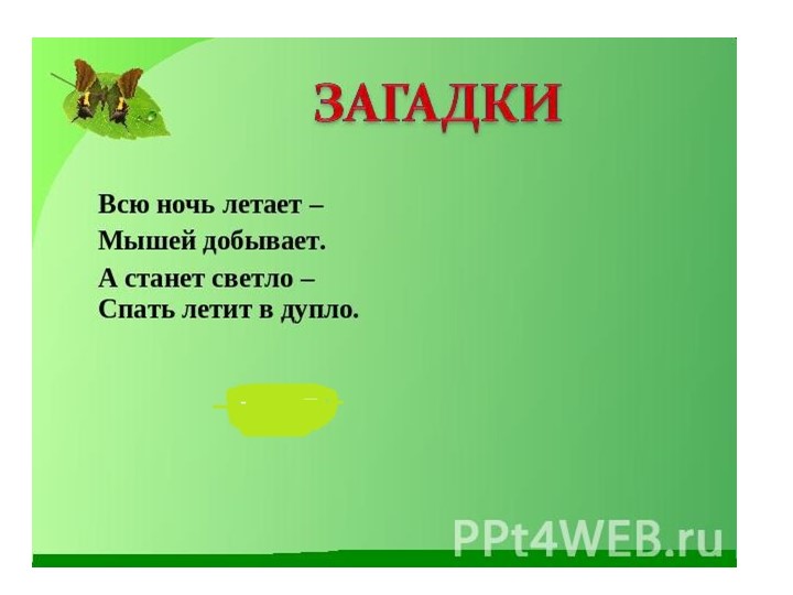 Презентация "Общие признаки птиц. Внешнее строение." (8 класс) Учебники, Презентации и Подготовка к Экзаменам для Школьников на Klass-Uchebnik.com
