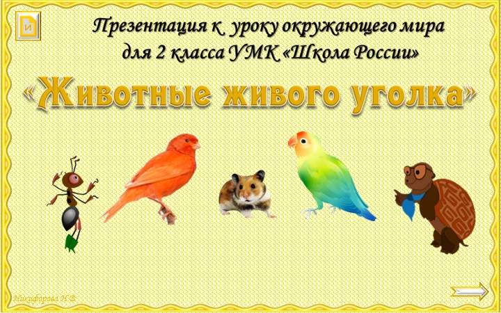 Презентация по окружающему миру _ Животные живого уголка 2 класс - Учебники, Презентации и Подготовка к Экзаменам для Школьников на Klass-Uchebnik.com