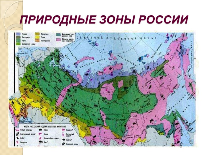 Презентация по окружающему миру на тему "Пустыни" - Учебники, Презентации и Подготовка к Экзаменам для Школьников на Klass-Uchebnik.com