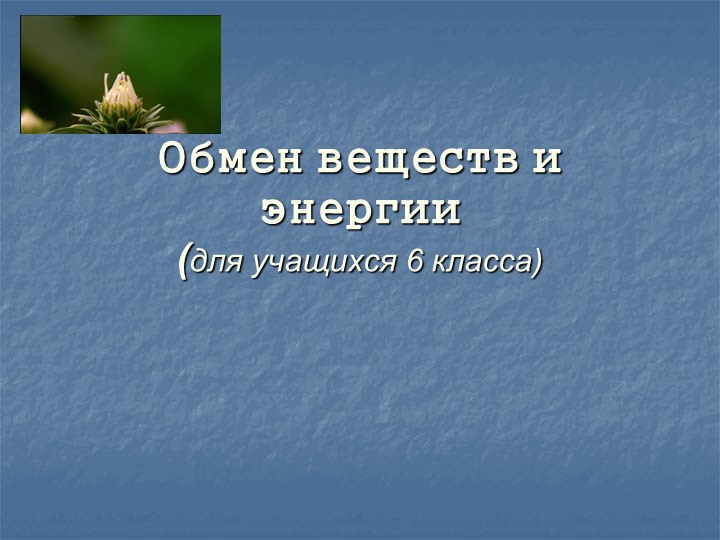 Презентация По теме: "Обмен веществ и способы питания растений " 6 класс Учебники, Презентации и Подготовка к Экзаменам для Школьников на Klass-Uchebnik.com