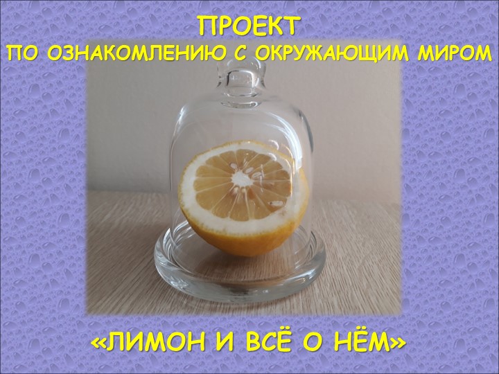 Презентация по ознакомлению с окружающим миром в подготовительной группе ДОУ "Лимон и все о нем" - Учебники, Презентации и Подготовка к Экзаменам для Школьников на Klass-Uchebnik.com