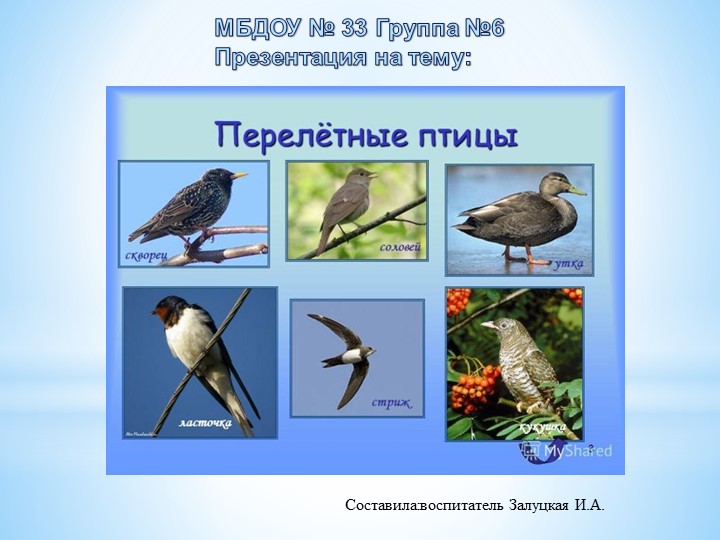 ПРЕЗЕНТАЦИЯ "ПЕРЕЛЕТНЫЕ ПТИЦЫ" К ПРОЕКТУ зОЛОТАЯ ОСЕНЬ - Учебники, Презентации и Подготовка к Экзаменам для Школьников на Klass-Uchebnik.com