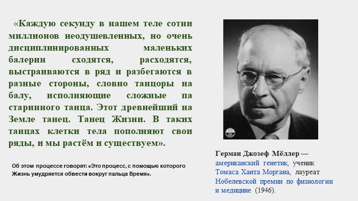 Размножение и его формы. Учебники, Презентации и Подготовка к Экзаменам для Школьников на Klass-Uchebnik.com