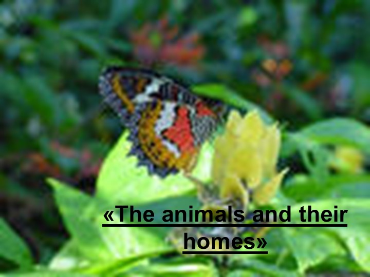 Презентация по английскому языку на тему "Люди и животные в деревне и в городе"" Учебники, Презентации и Подготовка к Экзаменам для Школьников на Klass-Uchebnik.com